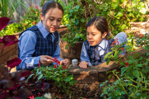 St Brigid's Catholic Primary School Marrickville