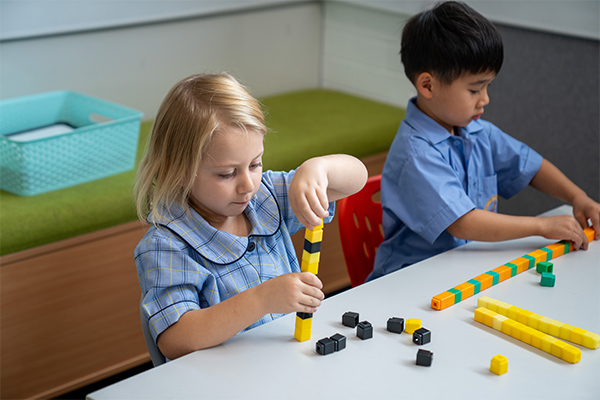 St Brigid's Catholic Primary School Marrickville
