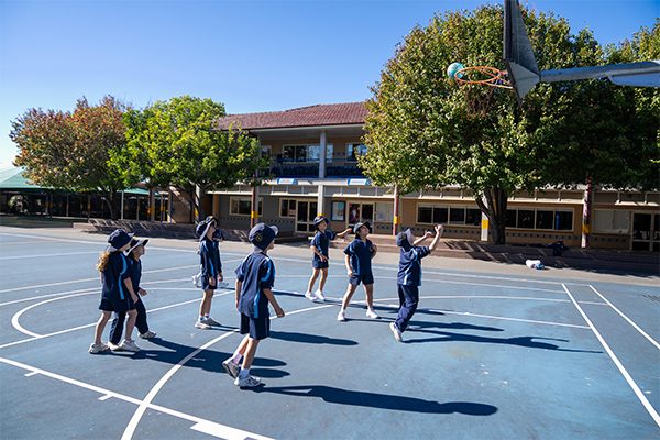 St Brigid's Catholic Primary School Marrickville