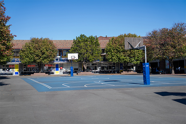 St Bridget's Catholic Primary School, Marrickville